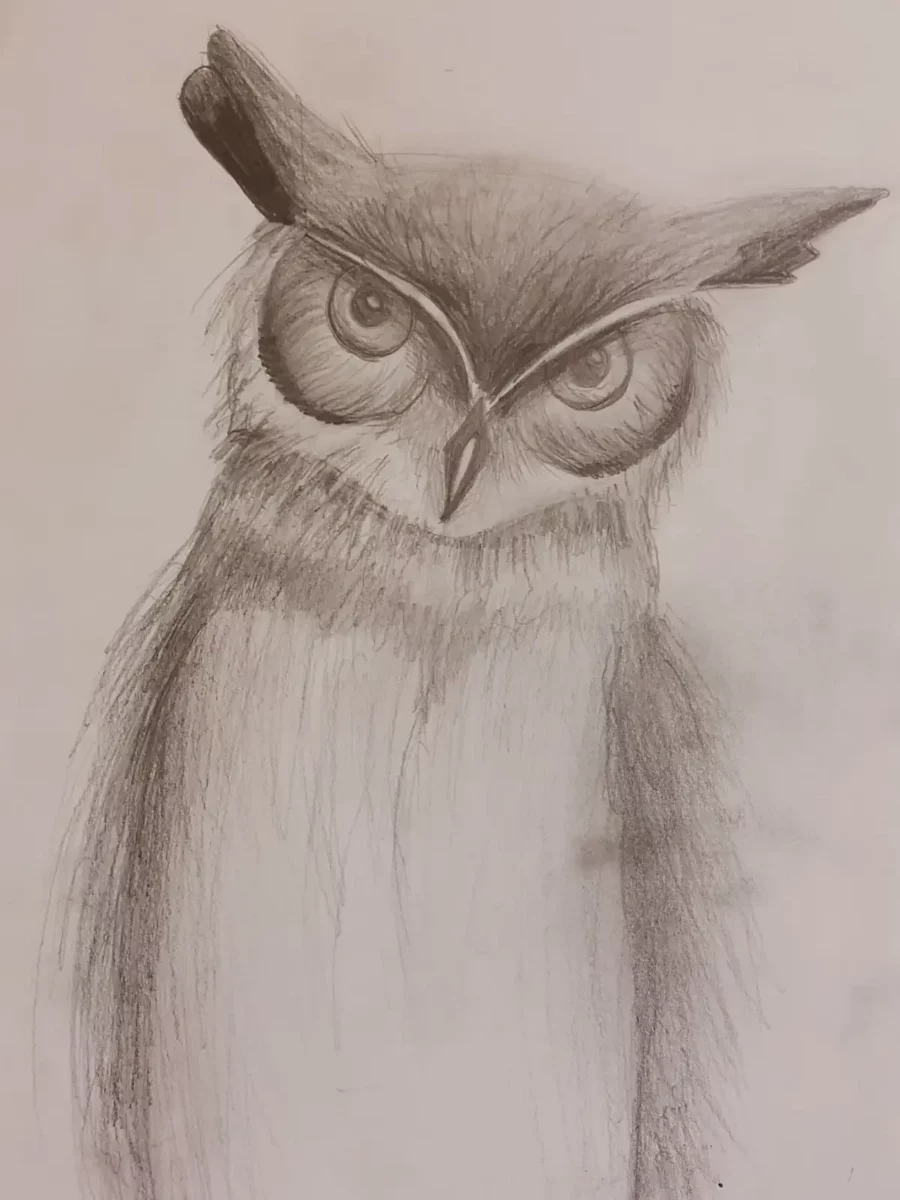 Talenty i zainteresowania naszych Uczniów - fot. 21